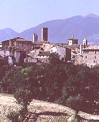 il maiale: prodotti tipi ci marche